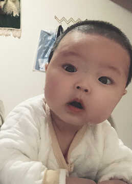 模特-
