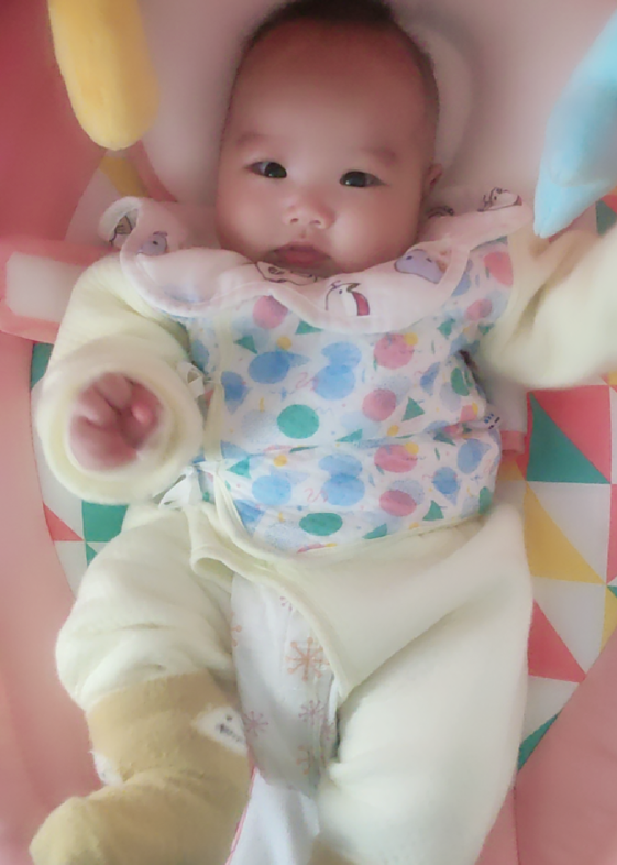 模特-