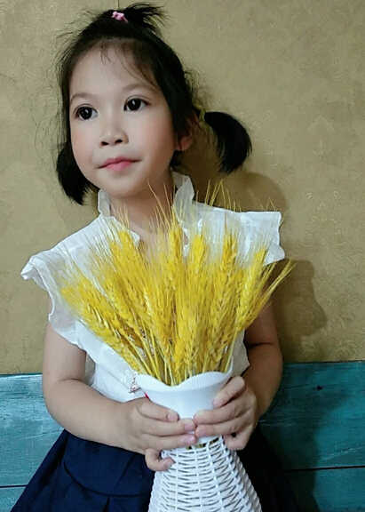 模特-