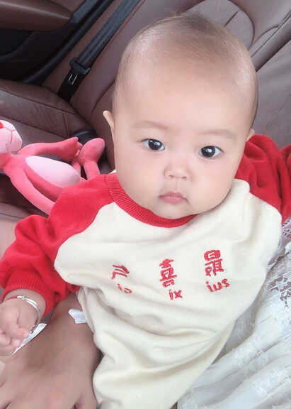 模特-