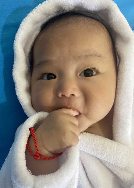模特-