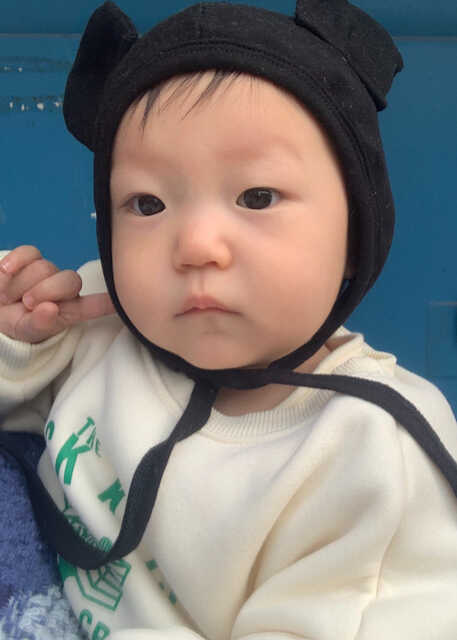 模特-