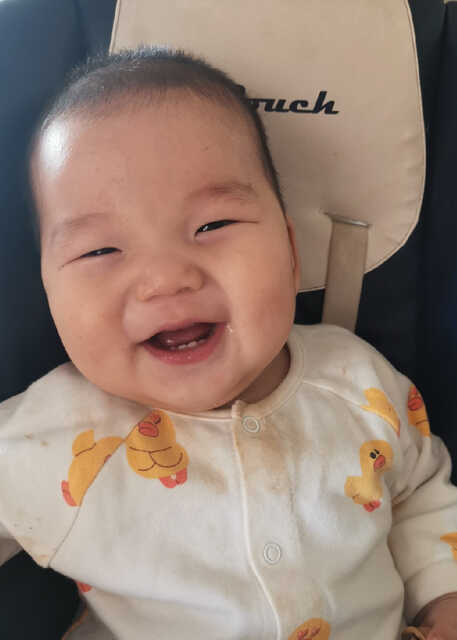 模特-