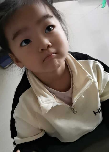 模特-