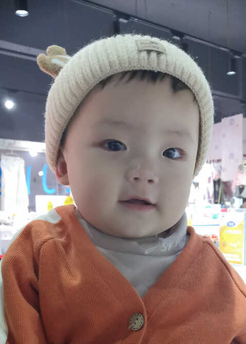 模特-