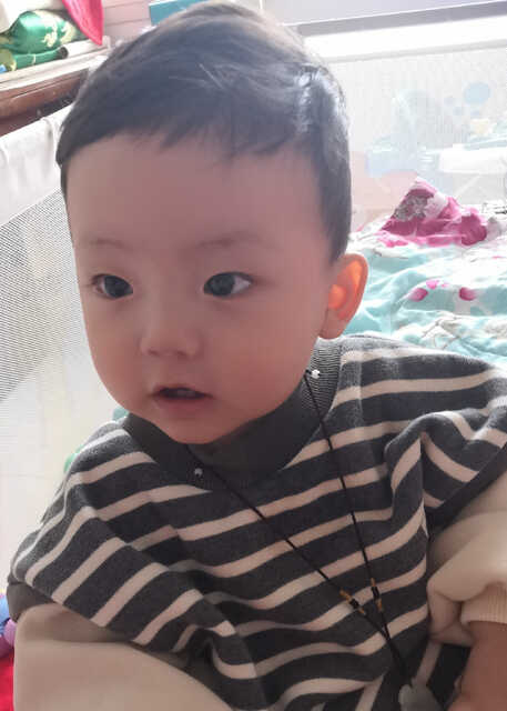 模特-