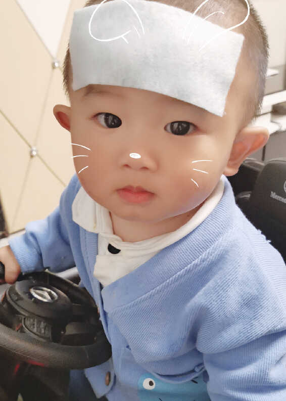 模特-