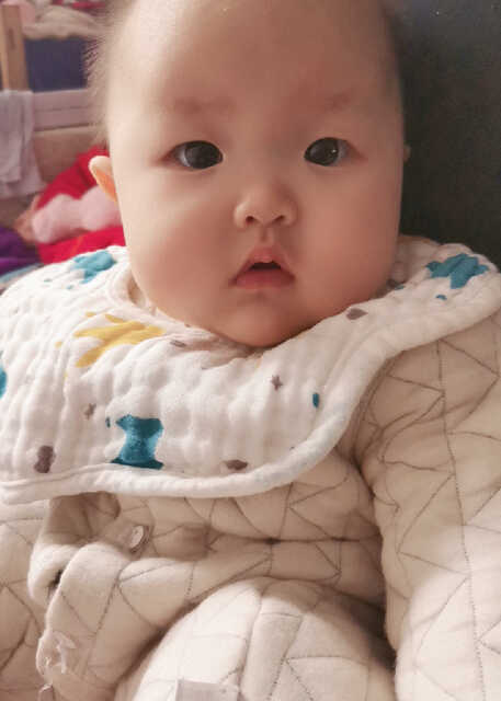 模特-