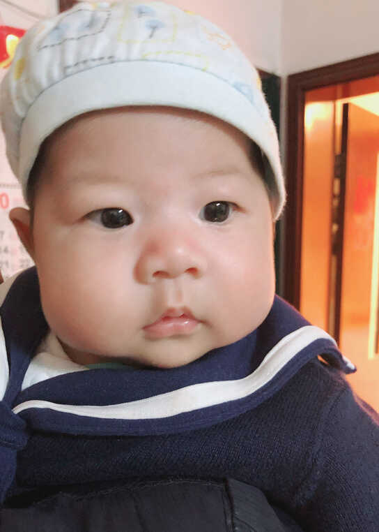 模特-