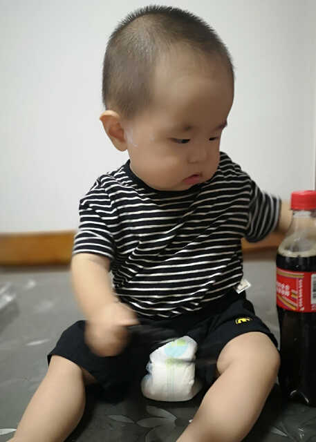 模特-