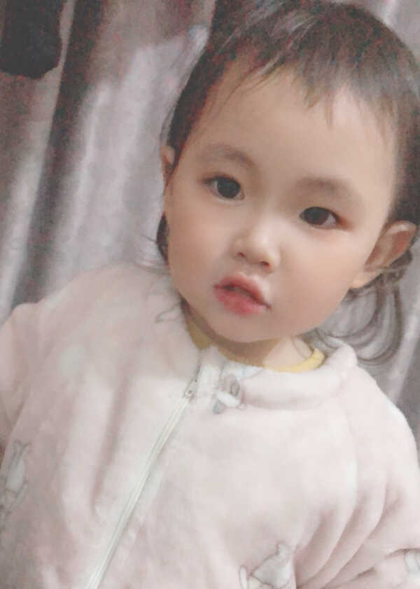 模特-