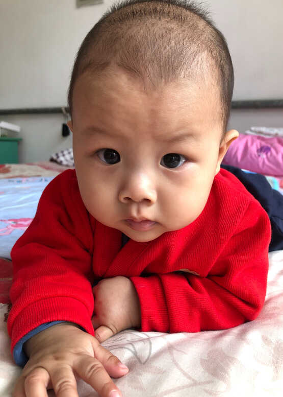 模特-