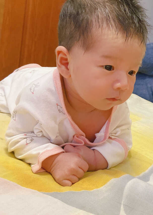 模特-