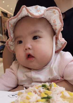 模特-