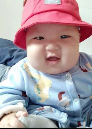 模特-