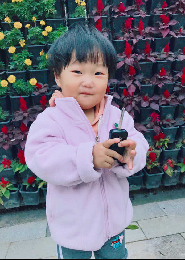 模特-