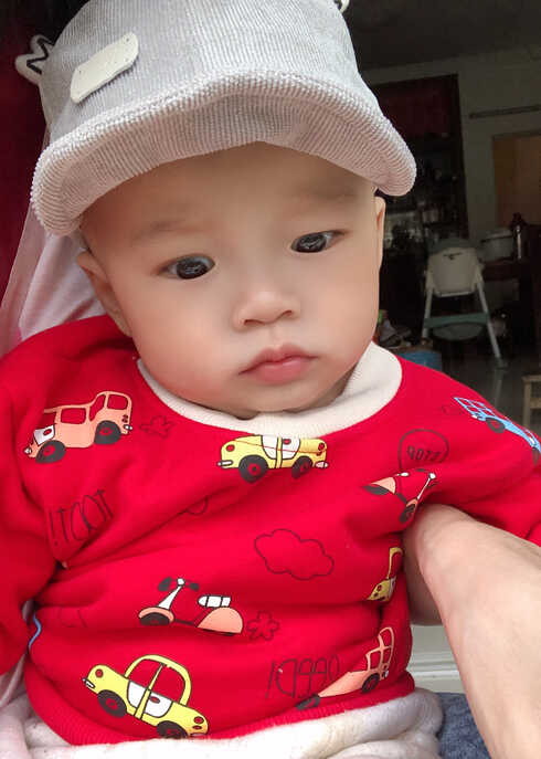 模特-