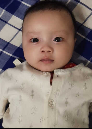 模特-