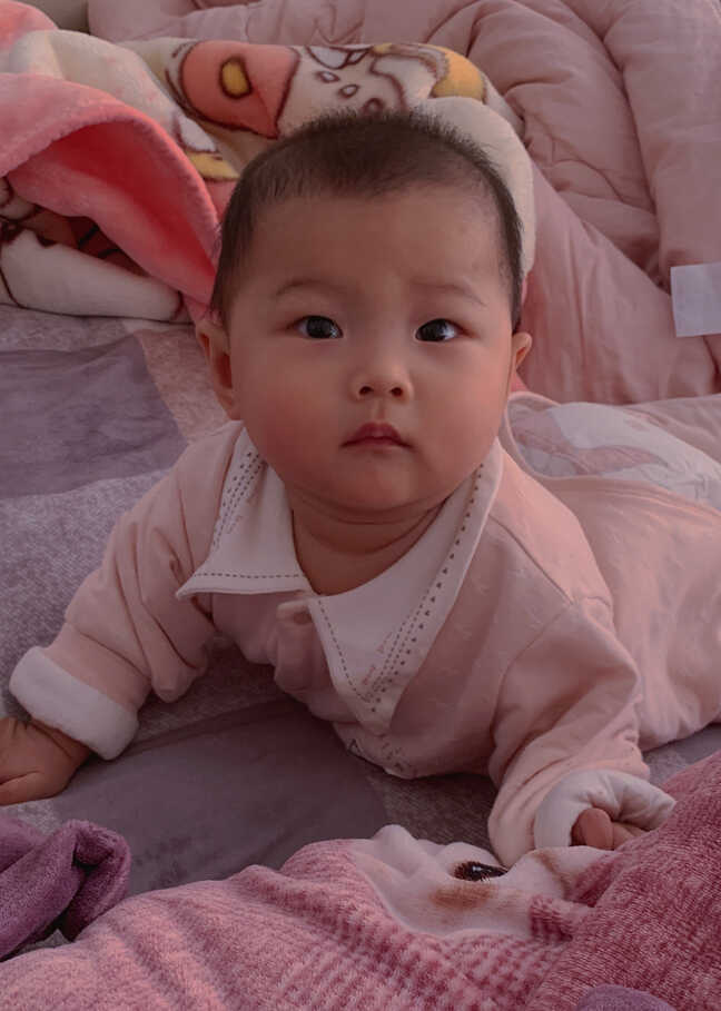 模特-