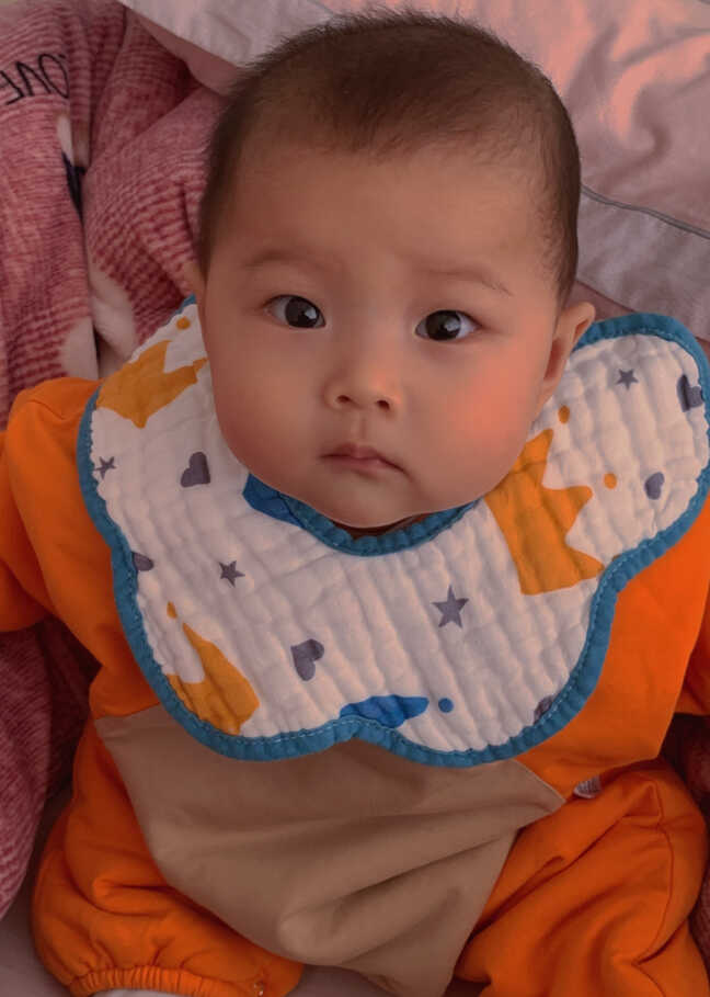 模特-