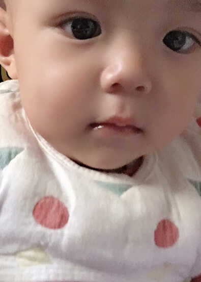 模特-