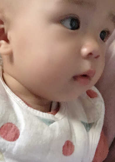 模特-