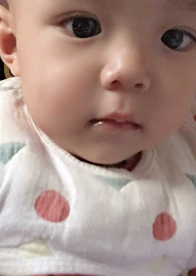 模特-