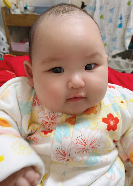 模特-