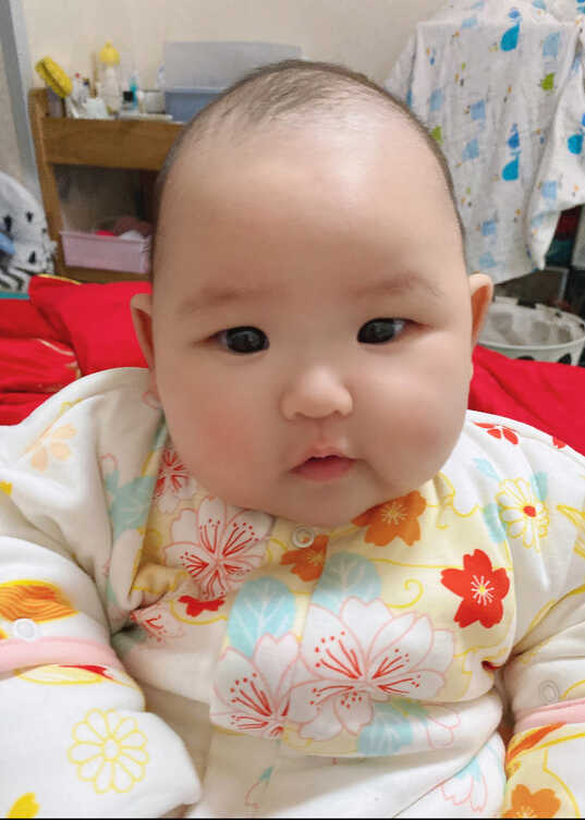 模特-