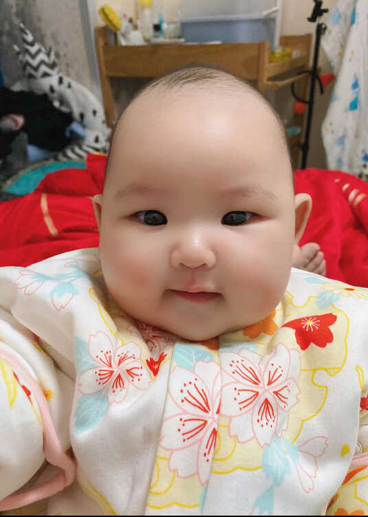 模特-