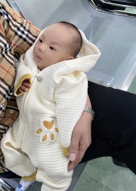 模特-
