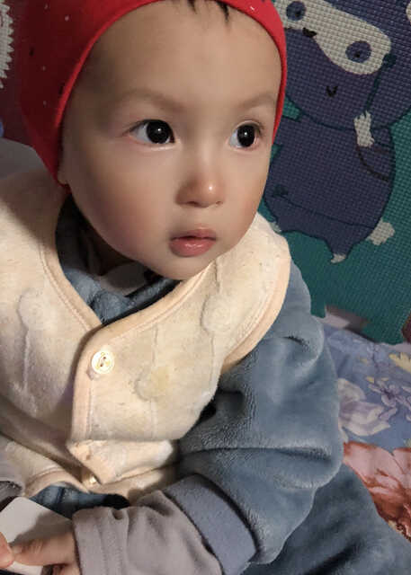模特-