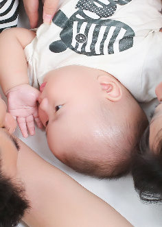 模特-