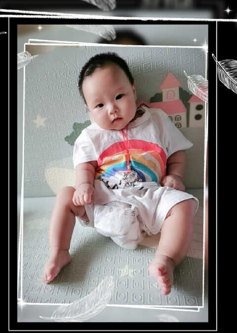 模特-