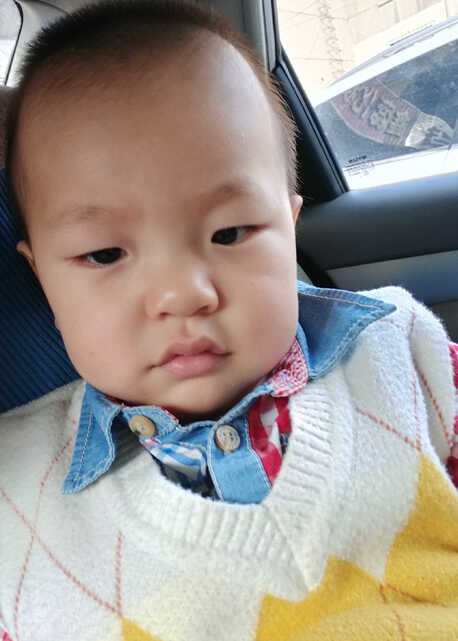 模特-