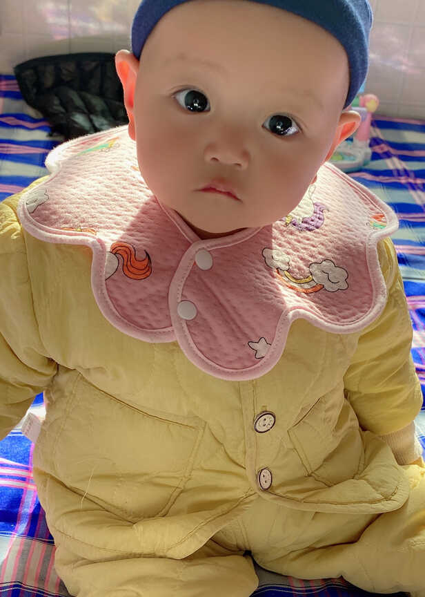模特-