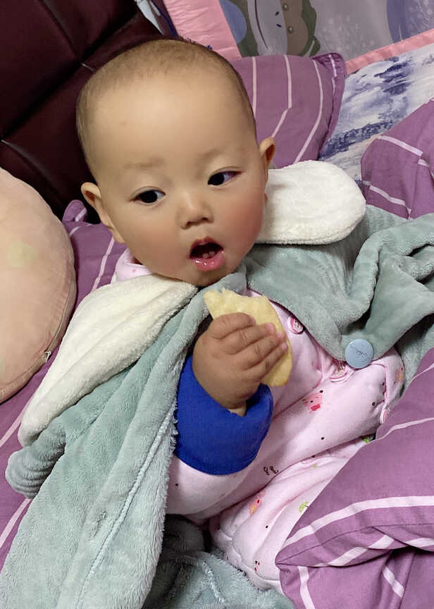 模特-