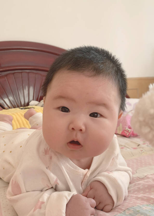 模特-