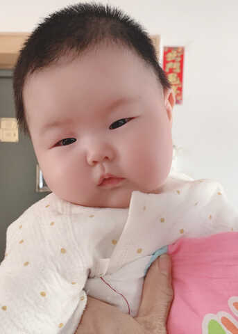 模特-