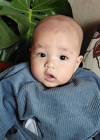 模特-