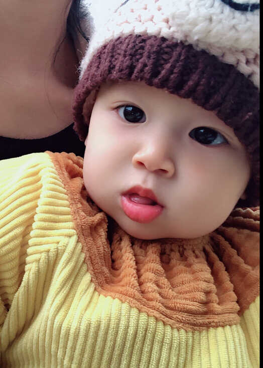 模特-