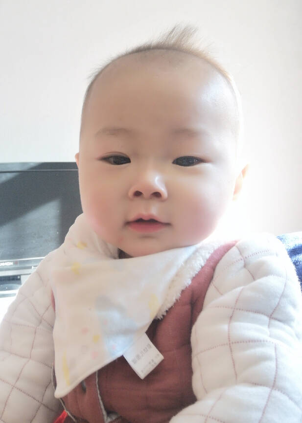 模特-
