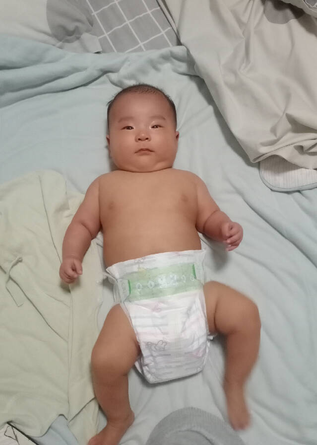 模特-