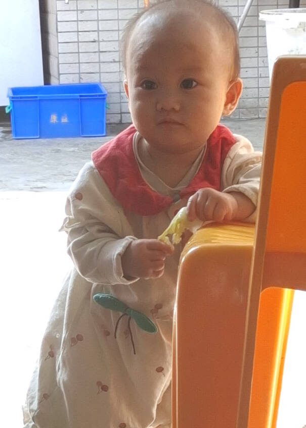 模特-