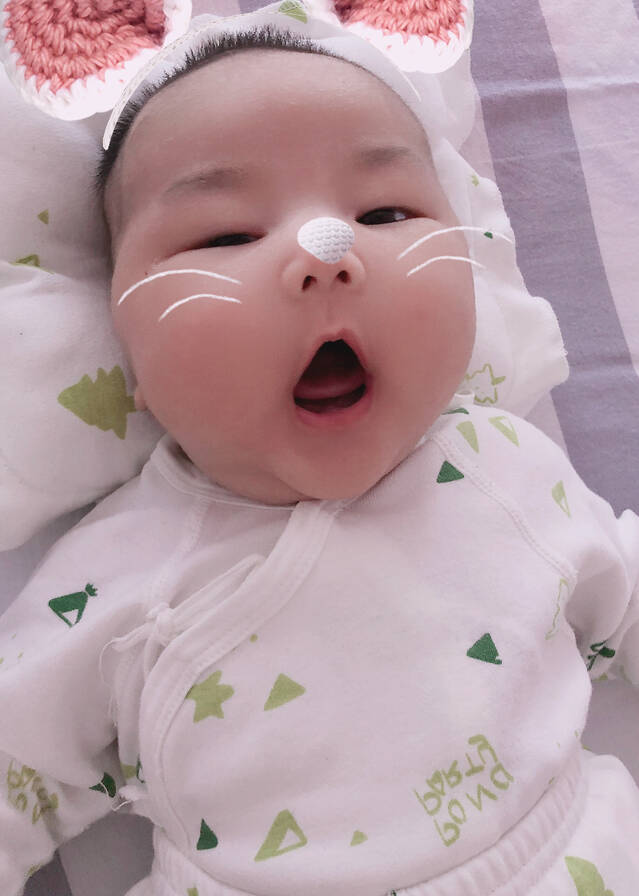 模特-