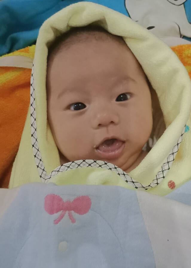 模特-