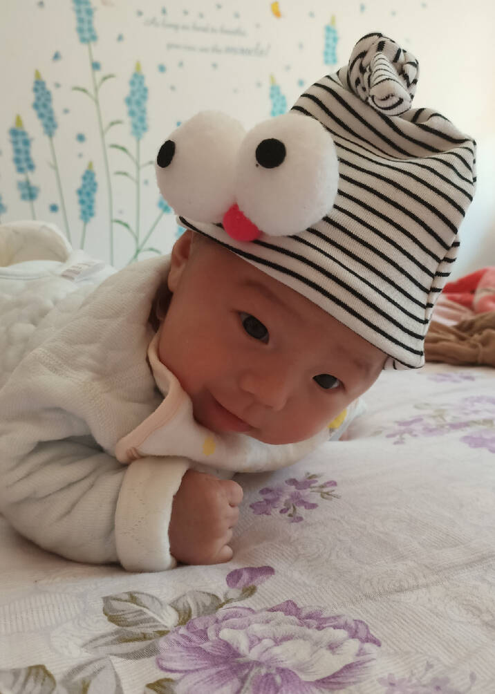 模特-