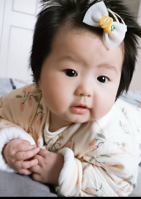 模特-