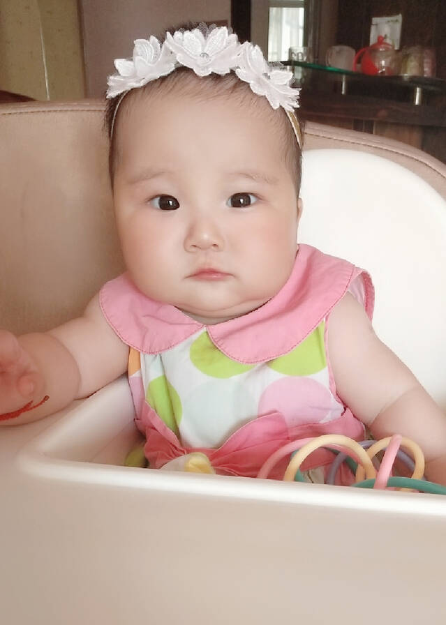 模特-