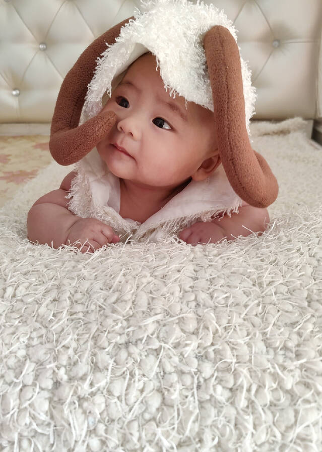 模特-